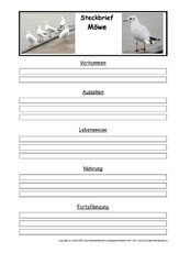 Steckbriefvorlage-Möwe.pdf